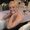 Photo of Qype User (natali…)