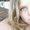Photo of Darya G.