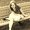 Photo of Lauren H.