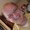 Photo of Hanns K.