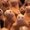 Photo of Qype User (hilbro…)