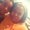 Photo of TieronandCarley G.