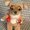 Photo of Qype User (darcyg…)