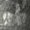 Photo of Mayton K. B.