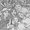 Photo of Ferdy D.