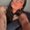 Photo of Isabella ..