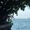 Photo of mahina h.
