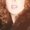 Photo of Trish F.