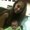 Photo of Meghan V.