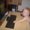 Photo of Lynda K.