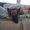 Photo of Kym M.