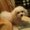 Photo of Qype User (ansa9…)