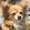 Photo of Dooly F.