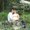 Photo of Nicole S.