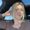 Photo of Samantha P.
