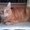 Photo of Qype User (MilesA…)