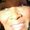 Photo of Bertina B.