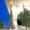 Photo of Michele M.