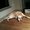 Photo of Burak M.