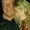 Photo of Rick S.