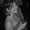 Photo of Alison Y.