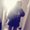 Photo of Janii T.