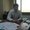 Photo of Timur Y.