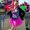 Photo of Jessica M.