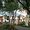 Photo of Pepper Tree R.