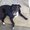 Photo of Gerianne A.