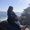 Photo of Elnaz M.