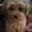 Photo of Susie A.