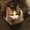 Photo of Hi H.