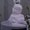 Photo of Tina D.