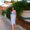 Photo of Talya M.