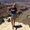 Photo of Jennilee S.