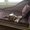 Photo of Ganapathy P.