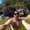 Photo of Joey M.