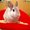 Photo of Qype User (hve00…)