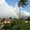 Photo of Rainbow T.