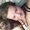 Photo of Brittany B.