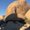 Photo of Jona M.