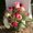 Photo of Rose - Jinggay R.