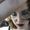 Photo of Skye P.