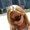 Photo of Michelle C.