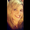 Photo of Brittany T.