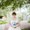 Photo of Catie T.