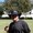 Photo of Will S.
