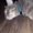 Photo of Mandy S.