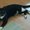 Photo of Susan W.